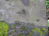 image of grave number 504902